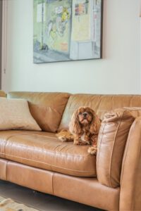 additional-banner-img